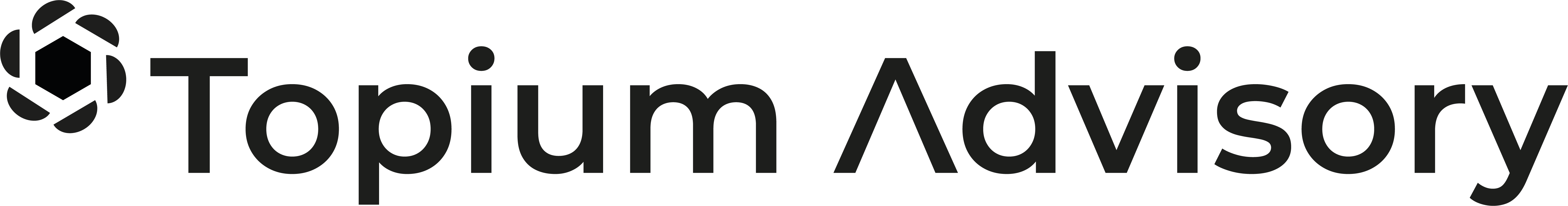 Topium LOGO Only
